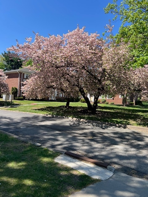 Photo - Brooklawn Gardens