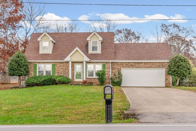 Photo - Pet Friendly in Sango!