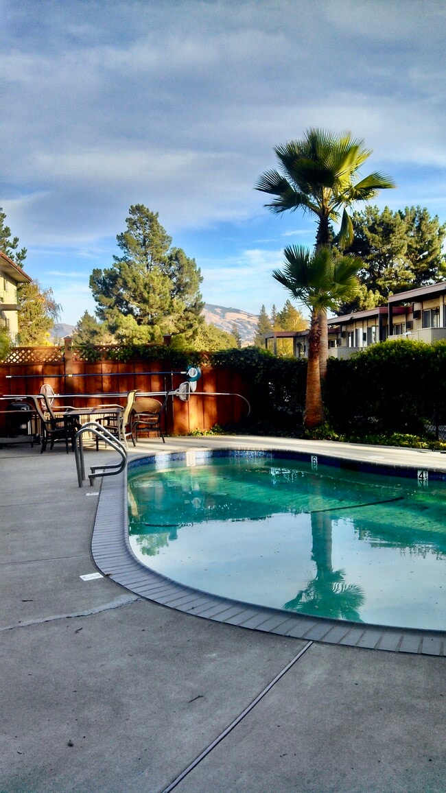 Photo - Birchwood Apartments