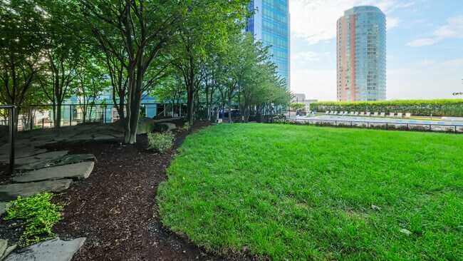 Lawn and Green Space