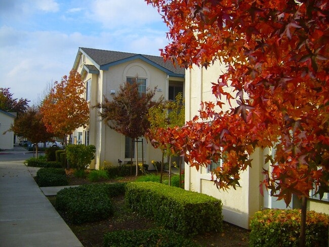 Photo - Rose Garden Senior Apartments