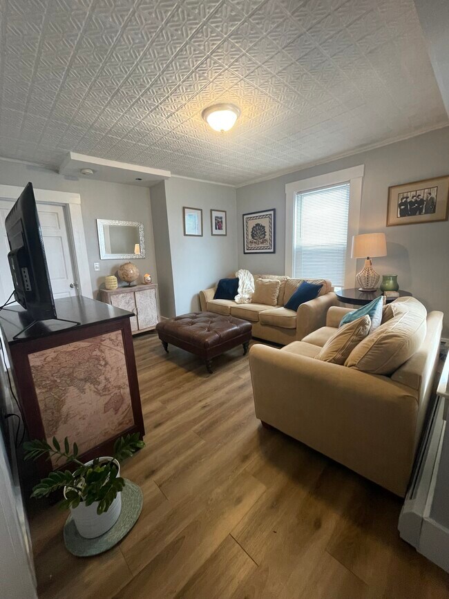 Living Room - 188 Wilson St Unit 188-1