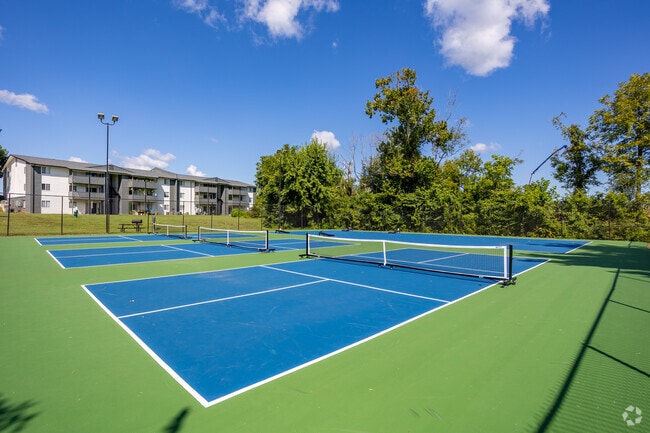 Cancha de pickleball