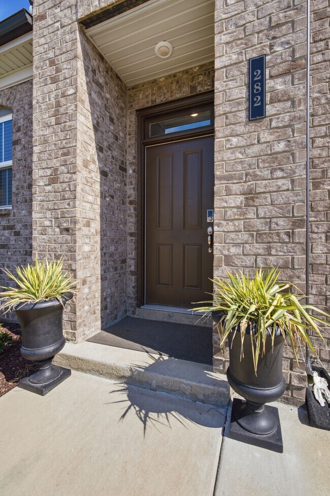 Photo - 282 Netherlands Blvd