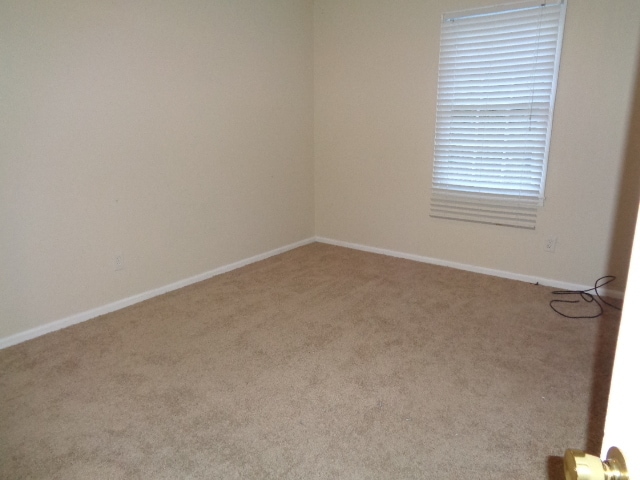 Photo - 368 Strickland Rd