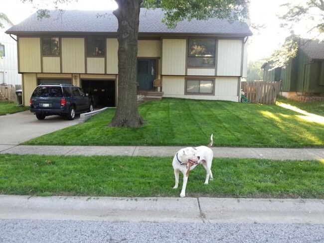 Building Photo - 9206 Greenway Ln