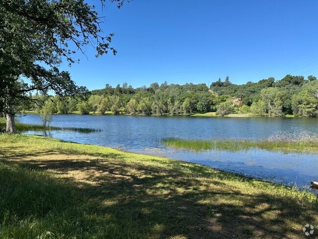 Building Photo - Gorgeous lakeside home on acreage in Shing...