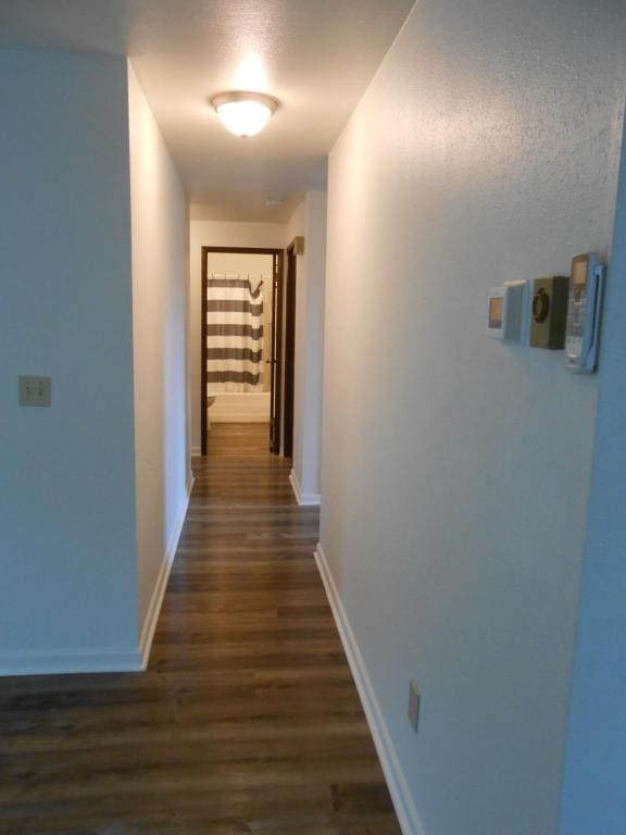 Photo - 780 Rhododendron St