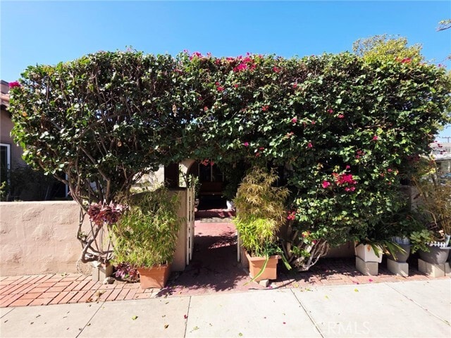 Photo - 554 Hawthorne St