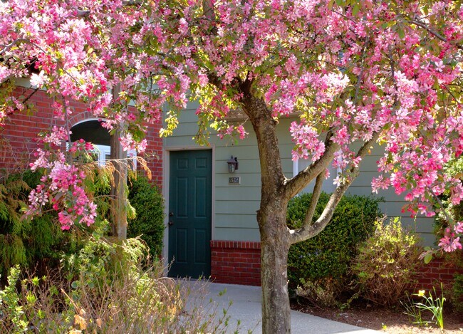 Beautiful grounds and spring flowers