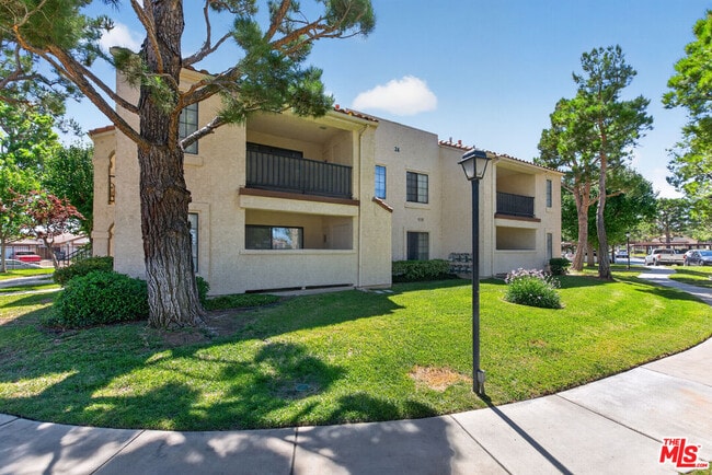 2554 Olive Dr