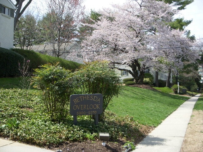 Photo - 5358 Pooks Hill Rd