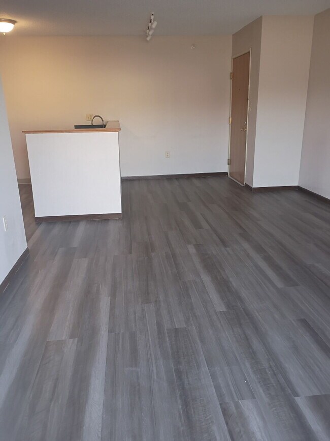 Photo - 1 Bedroom |1 Bathroom 1st Floor Unit in Oelwein - Available June! Unit 14