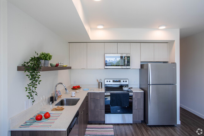 One-bedroom Kitchen
