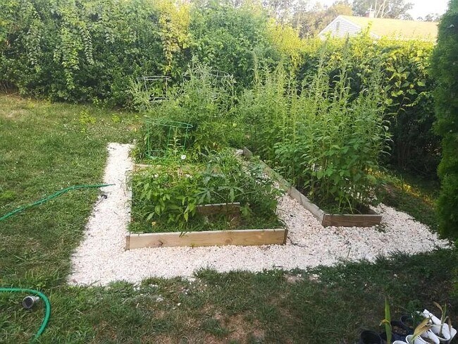 Photo - 7823 Perry Rd