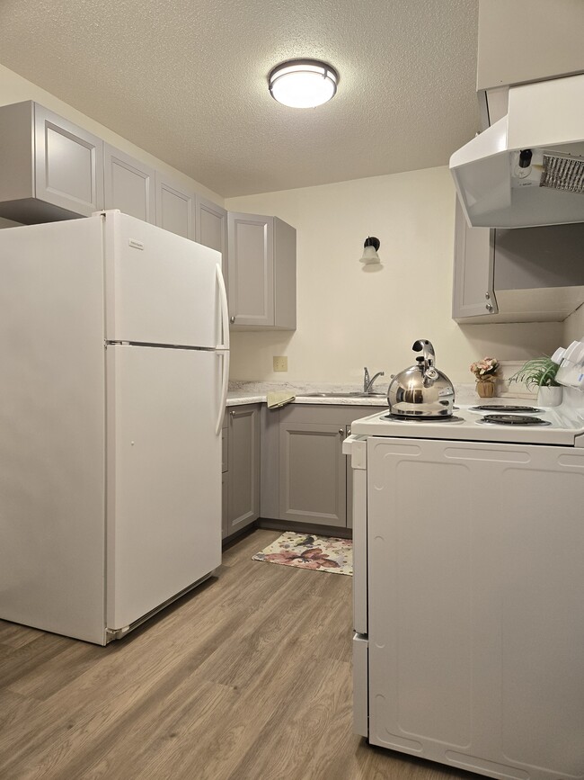 $959, Available June 15, 2026 - 503 15th St SE