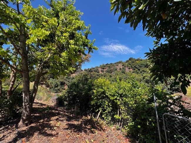 Photo - 4698 Granada Way