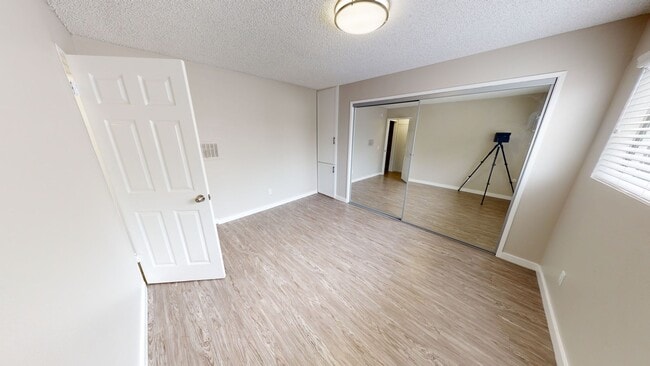 Photo - The Tropicana