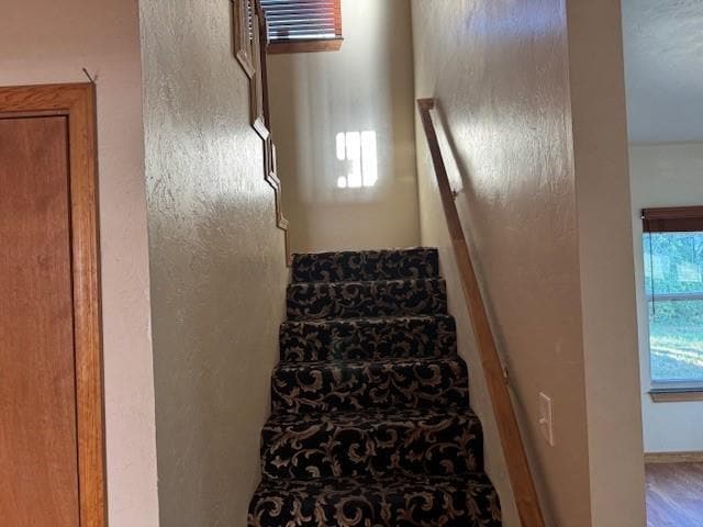 Photo - 1142 Elk St