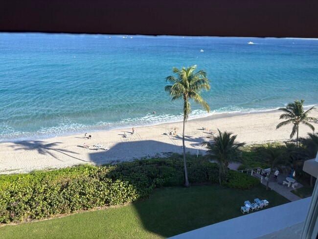 Building Photo - 1069 Hillsboro Mile Unit 801