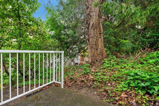 Photo - Huge 2 bedroom units on Queen Anne across ...