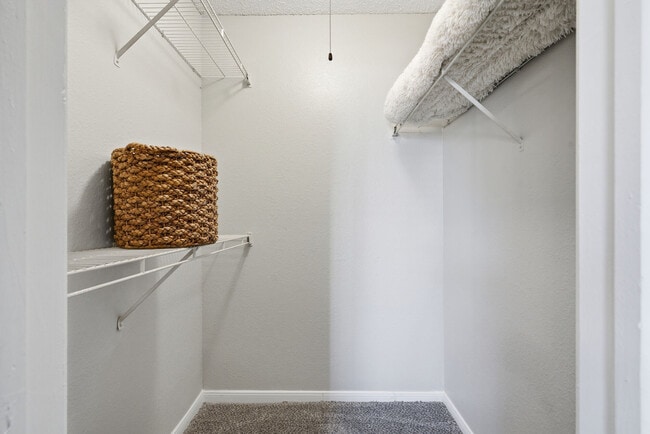 1BD, 1BA - 674SF - Walk-in Closet