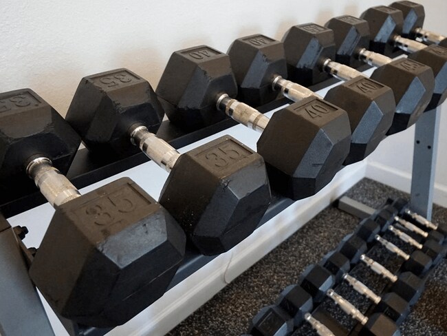 Free Weights, Cardio Machines, and More