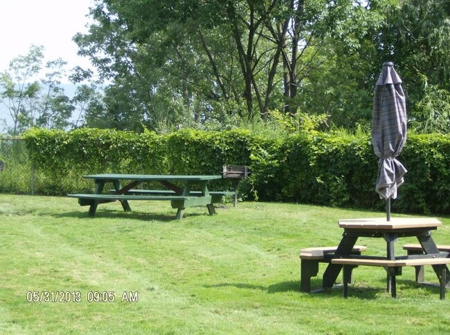 Picnic & Grilling Area