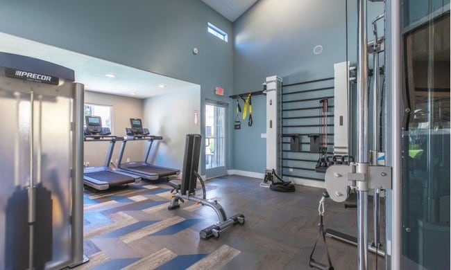 Avana Stoneridge