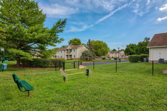 Park Terrace