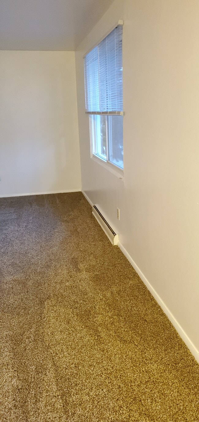 Photo - 905 Reed St Unit 3