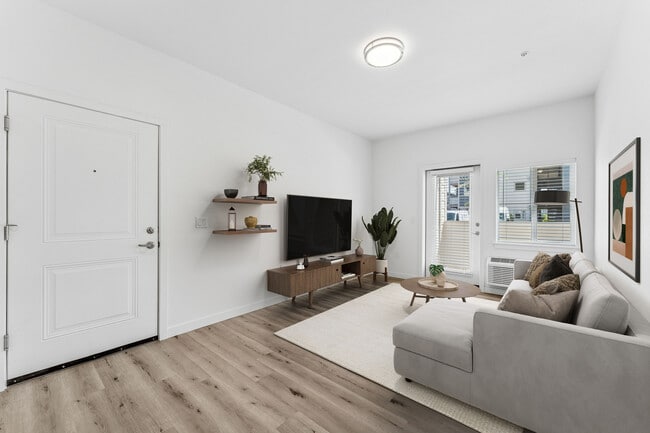 Photo - Spring Meadow