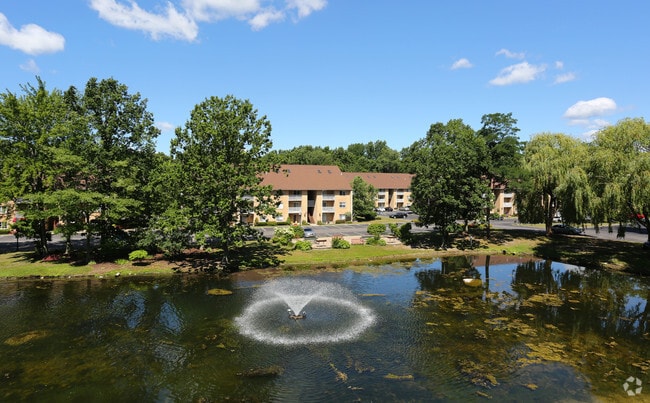 Pond