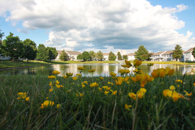 Pond - Burberry Place Apartments