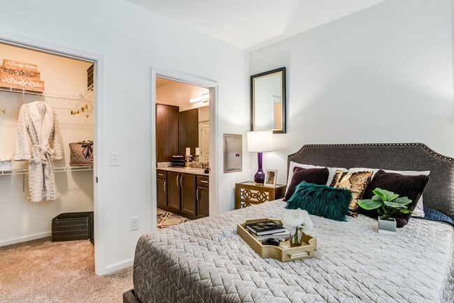 Photo - Allure Apollo