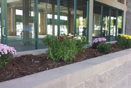 Photo - Richmond Terrace Condominiums