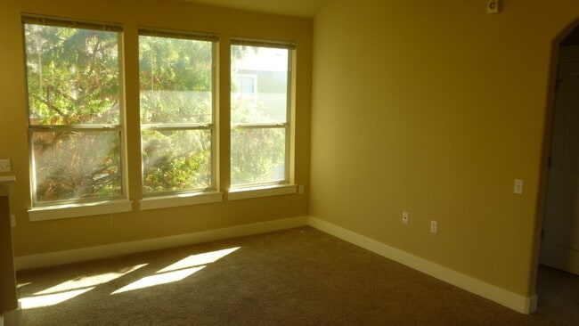 Photo - Great 1/1 unit in Chestnut Commons 78702