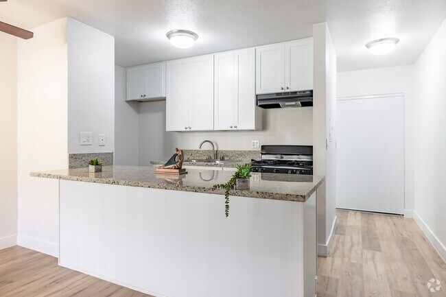 Studio, 1BR - 370SF - Kitchen