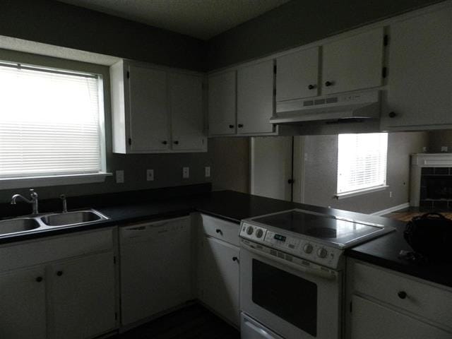 Photo - 3404 Daylily Ln