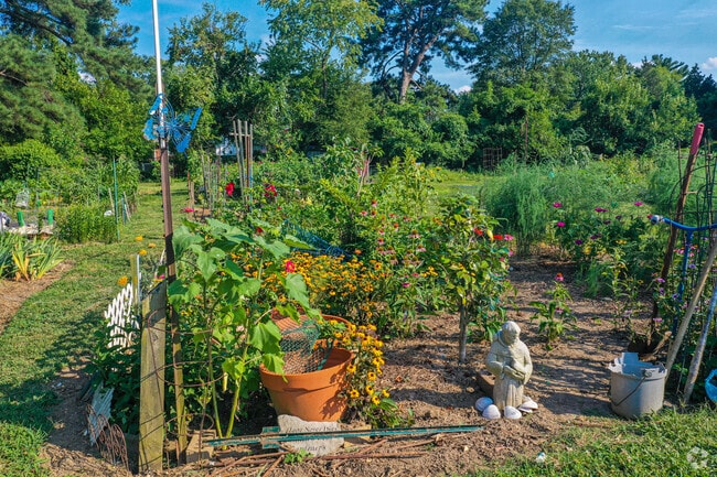 Community Gardens