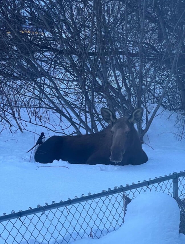 Photo - 319 W 12th Ave Unit ID1284534P