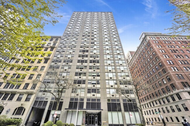 Building Photo - 253 E Delaware Pl Unit 10G Rental