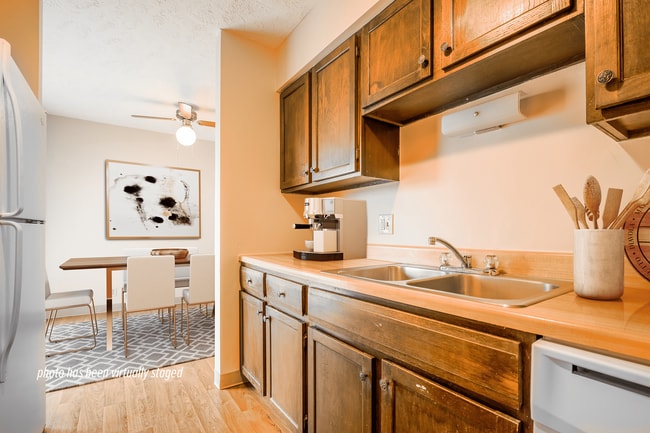 Double-Basin Kitchen Sink