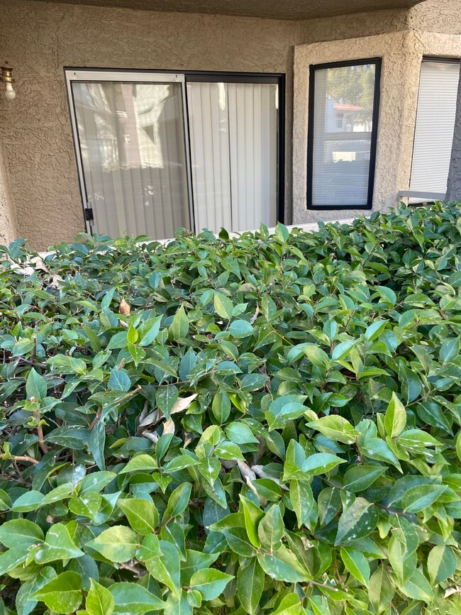 Building Photo - 5038 S Rainbow Blvd Rental