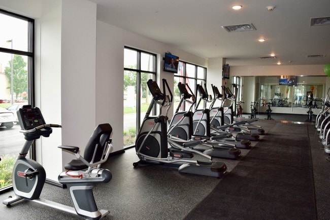 Photo - Hayden Reserve