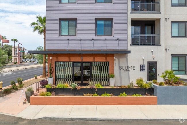 Blume on Central