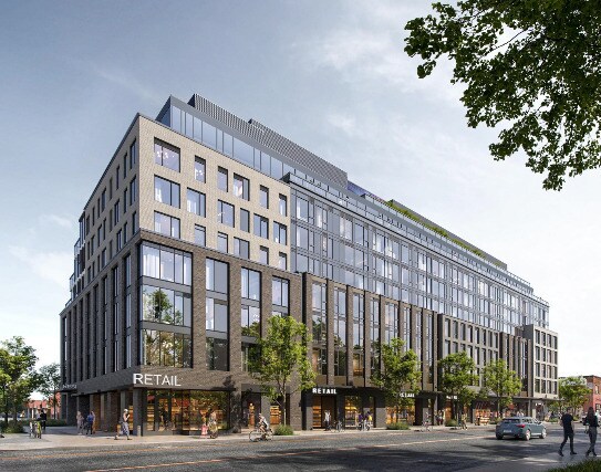 Cricket Park - Cricket Park