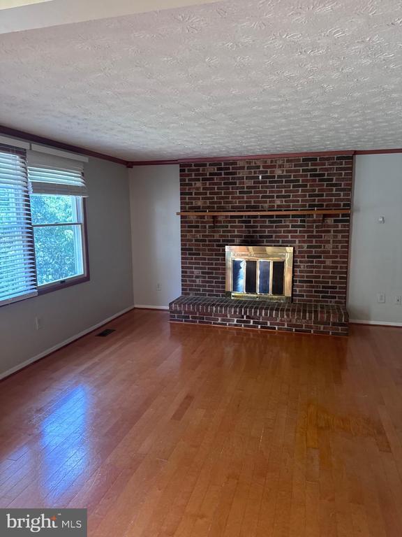 Photo - 13767 Cabells Mill Dr