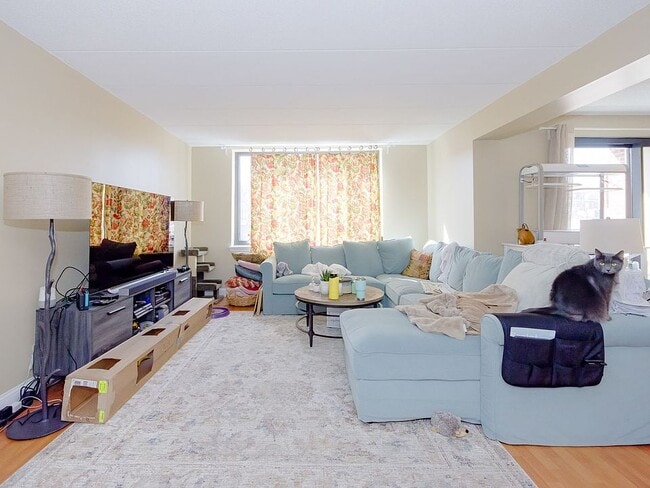 Photo - 85 Brainerd Rd Apartments Unit 416