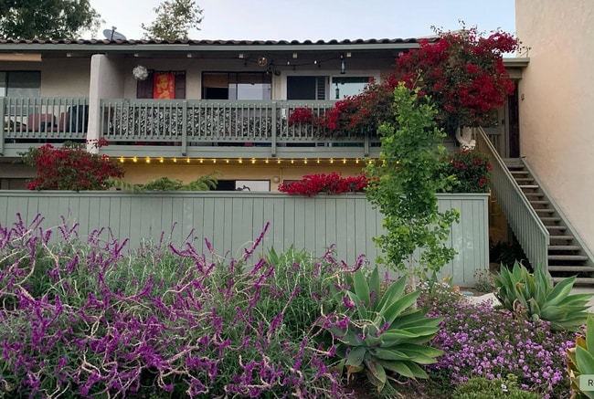 Building Photo - Charming 1 Bedroom, 1 Bathroom Unit in a S... Rental